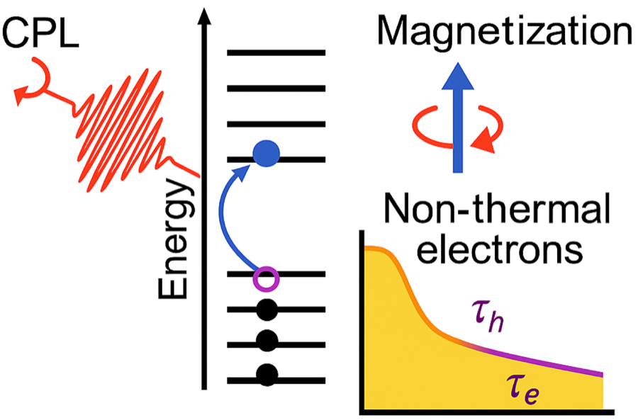 First-principles inverse Faraday response across the 3d, 4d, and 5d transition metal series.