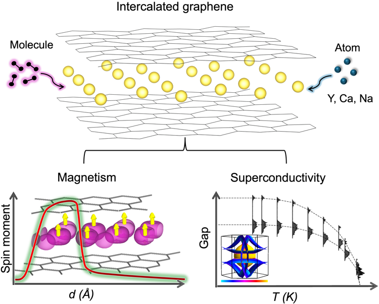 Emergent quantum phenomena in DFT-predicted Na-intercalated graphite compounds.