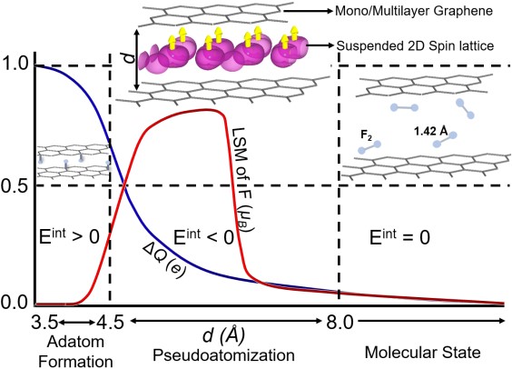 Fluorine intercalation between graphene layers forming a dimerized spin lattice.